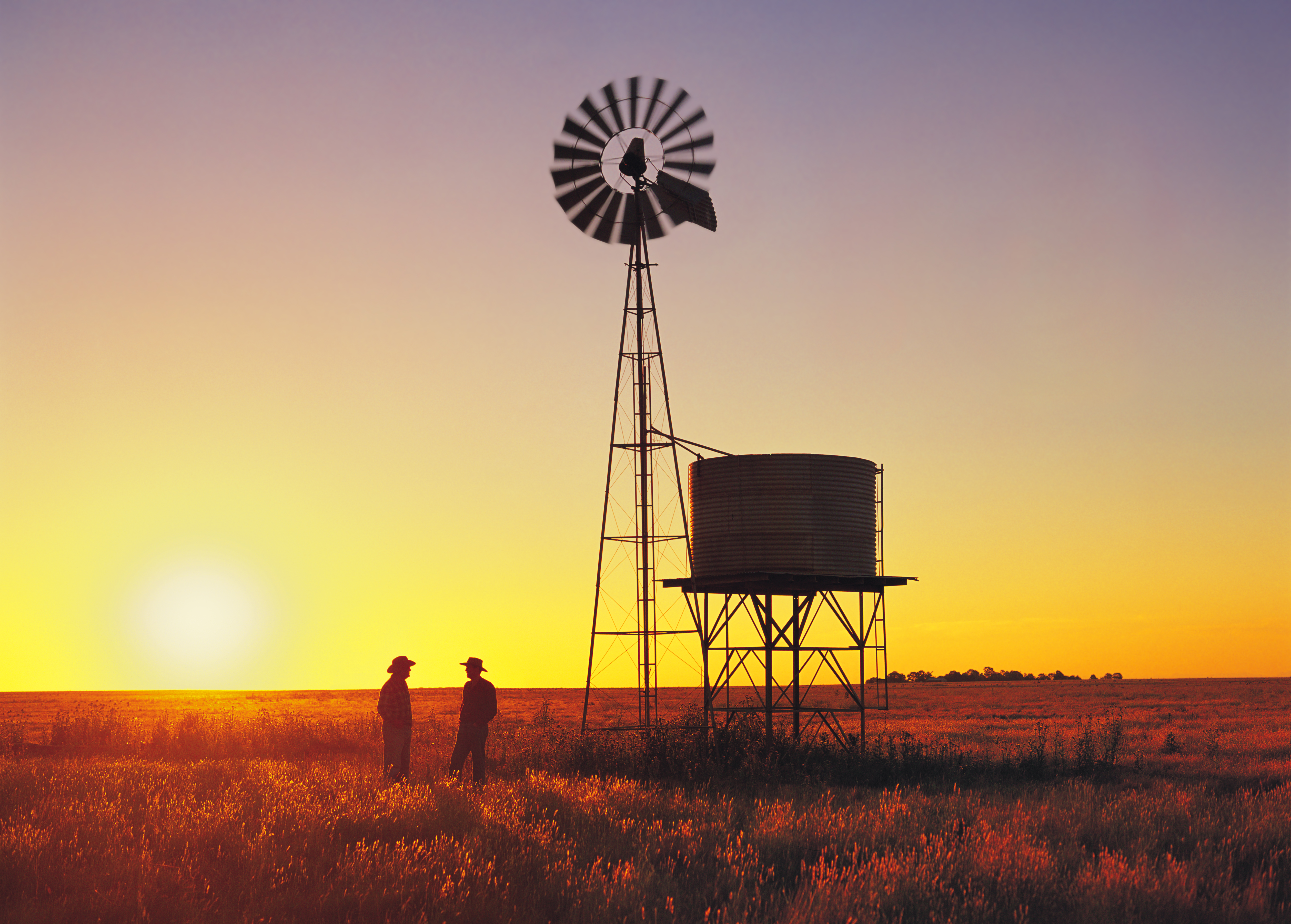 Wheat farmers talking beside windmill, watertank, sunset, Australia, water supply
