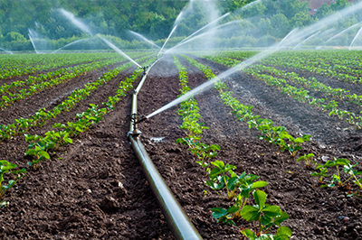 Water spray on an agriculture field