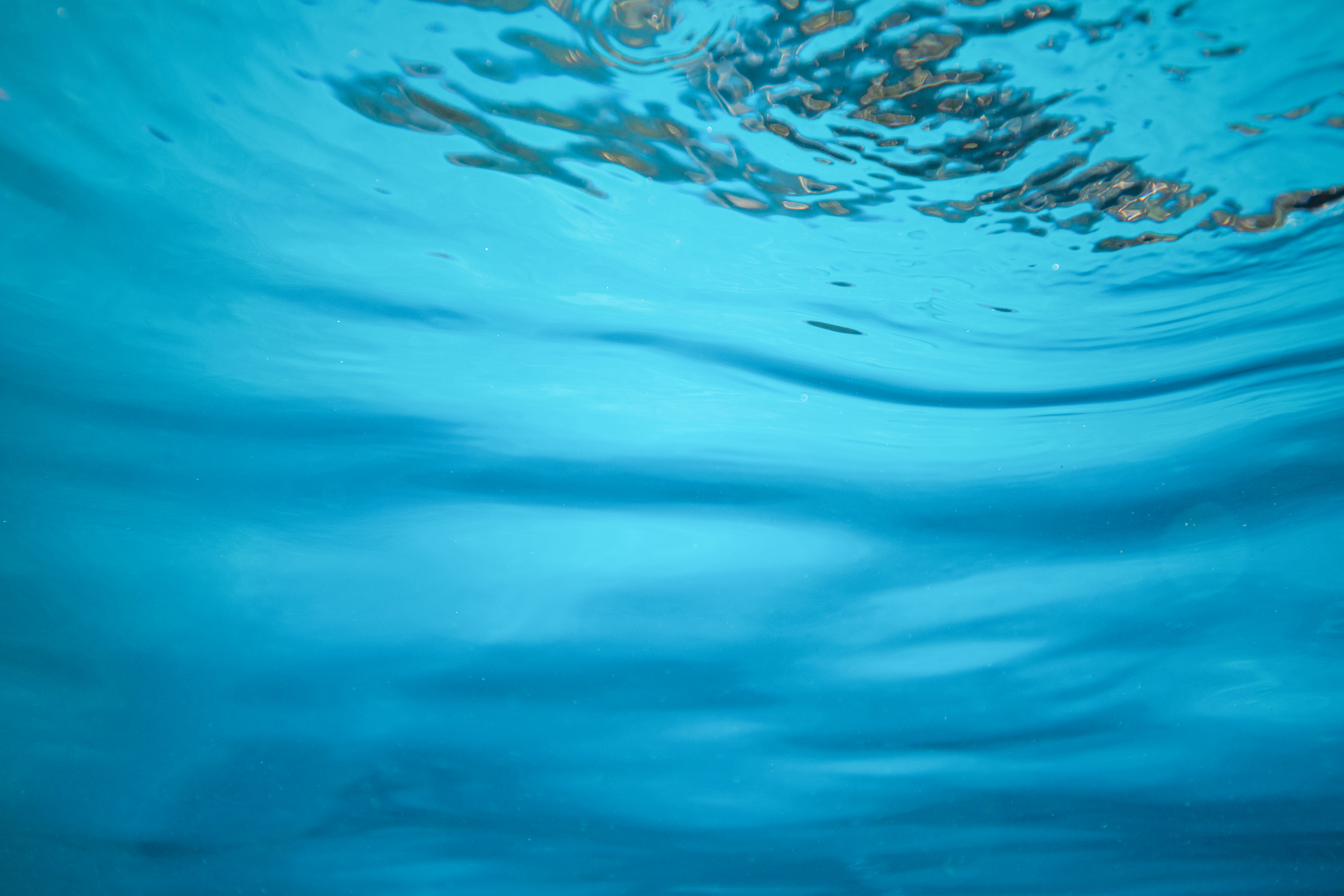 Backyard pool library shoot for Pentair in Encino, Califorrnia. September 23, 2021. 

Tracy + David Stills and Motion