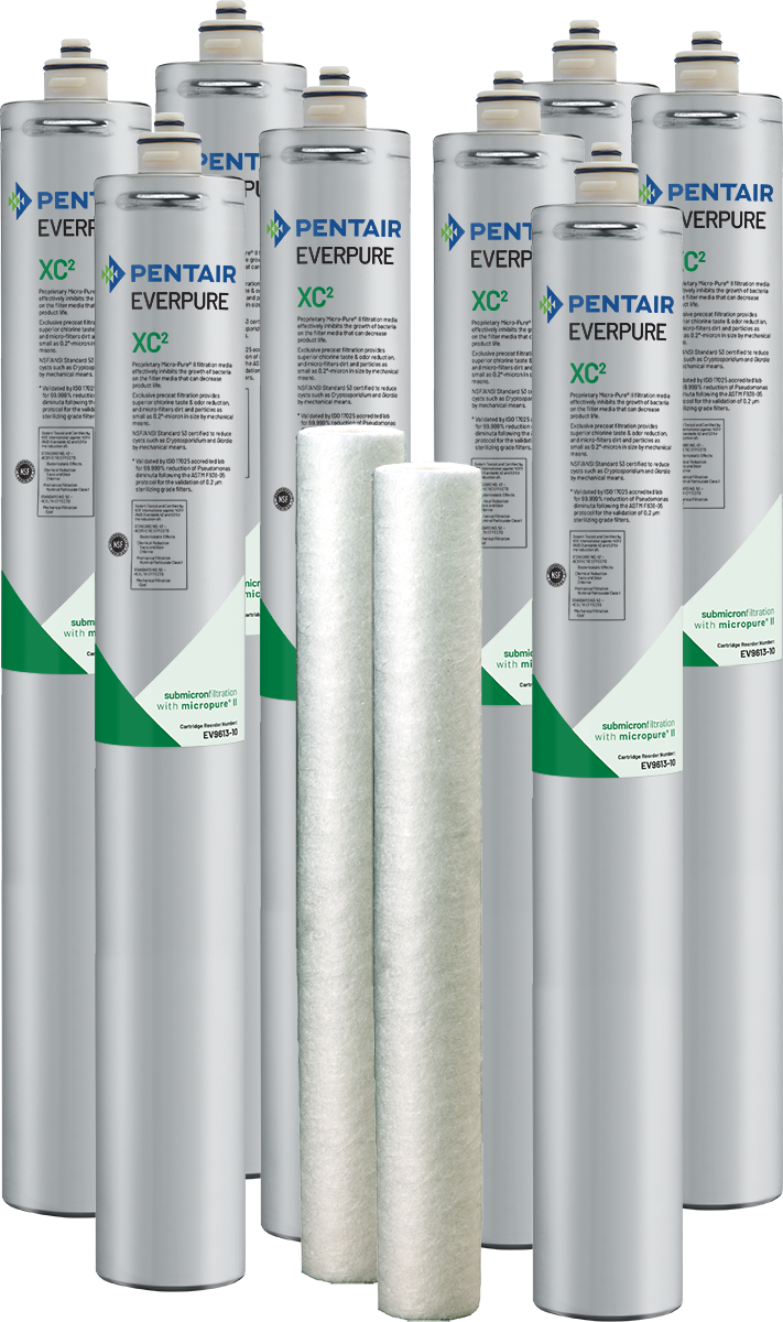 Pentair Everpure 2FC-Sカートリッジ 6個セット Pentair Everpure 2FC-Sカートリッジ 6個セット Pentair Everpure 2FC