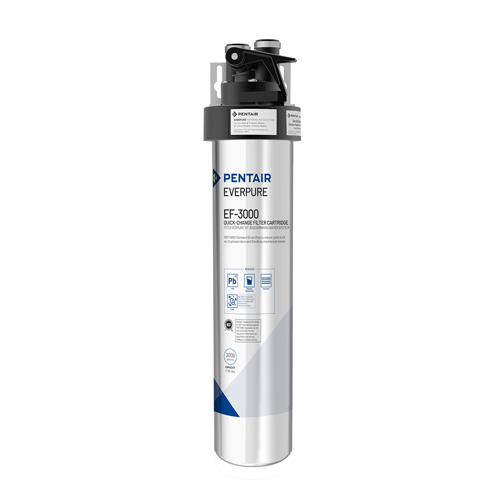 ev985700-ef-3000-system.png