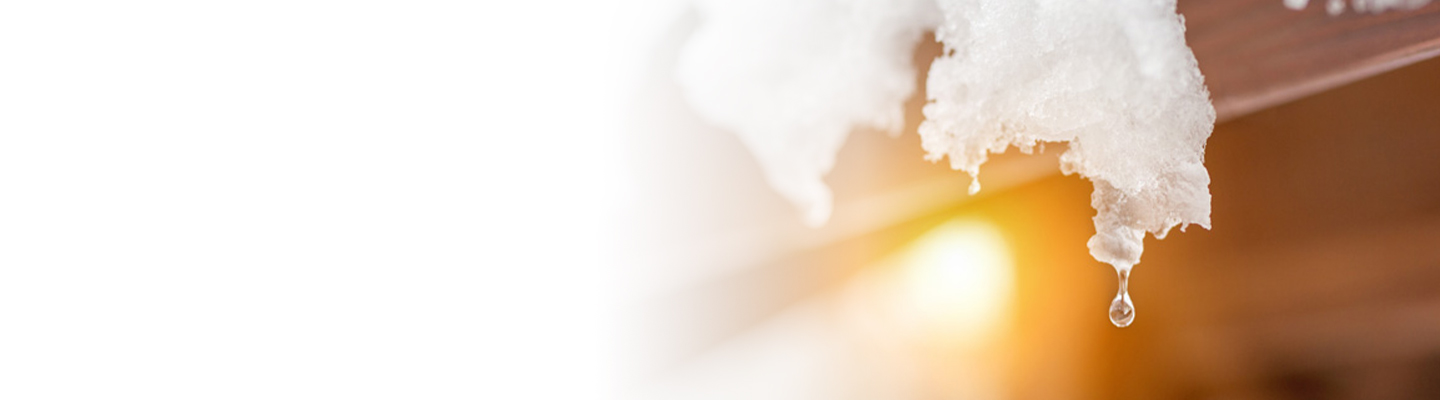 Hero Image Hero Image