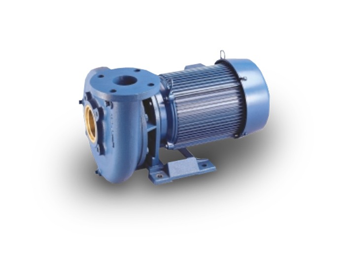 Pentair Aurora 341A, 342A & 344A Single Stage End Suction Pumps