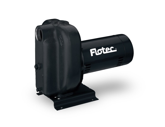 Pentair Flotec FP5242 1.5 HP Cast Iron Sprinkler Pump
