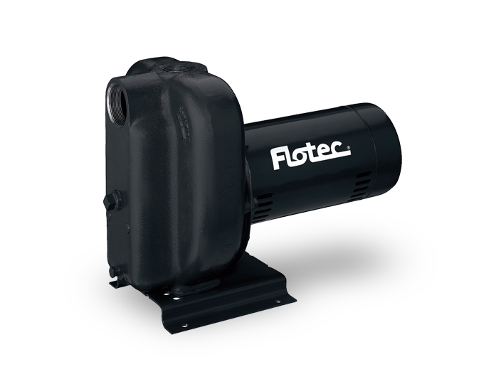Pentair Flotec FP5252 2 HP Cast Iron Sprinkler Pump