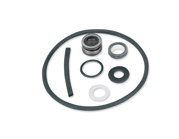 Pentair Parts2O FPP1650 FP4432 Seal and Gasket Kit