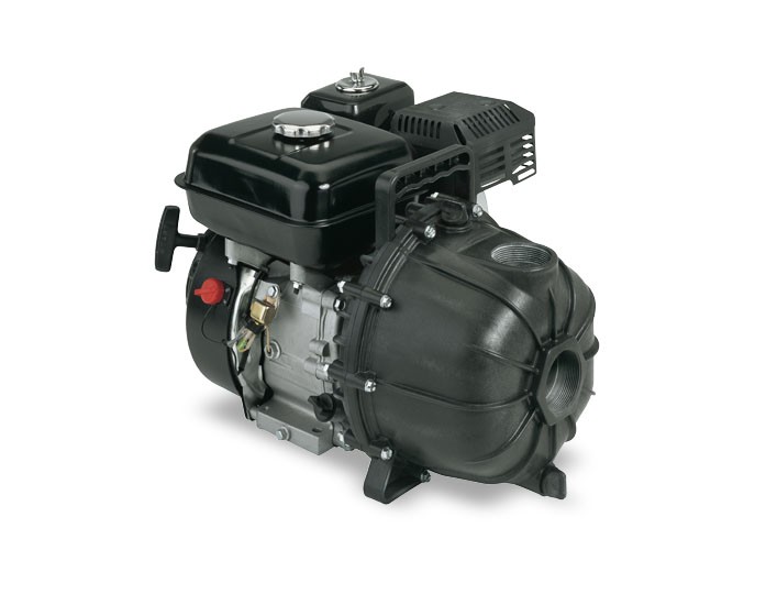 Pentair Simer 4955 6.5 HP Gas Engine Pump
