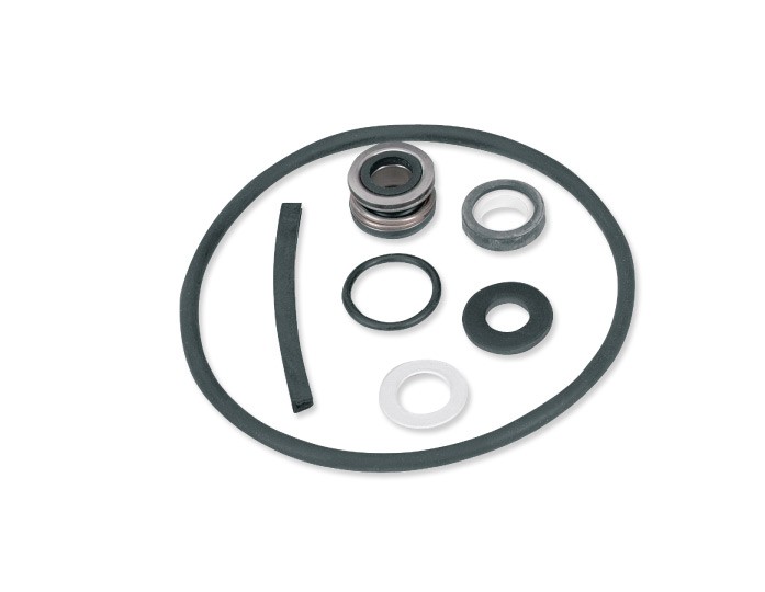 Pentair Parts2O FPP1500 Seal and Gasket Kit