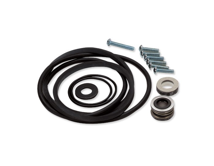 Pentair Parts2O FPP5000 Seal and Gasket Kit