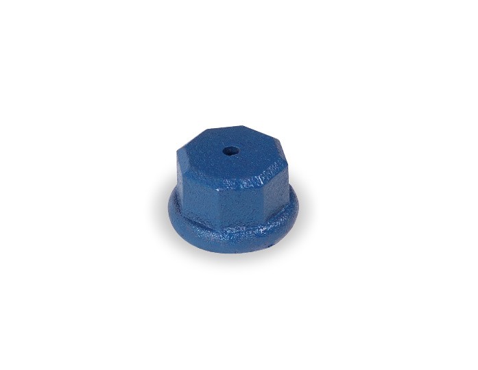 Pentair Parts2O J70-1 1-1/4" Well Point Drive Cap