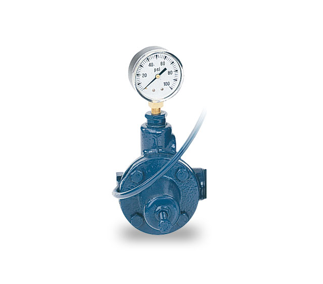 Pentair Sta-Rite PKG 107 Deep Well Pressure Regulator Kit