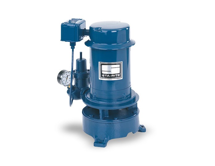 Pentair Sta-Rite SSJ Series Cast Iron Vertical Single-Stage Deep Well Jet Pumps