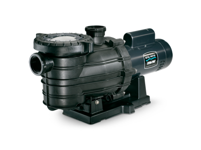 Dyna-Pro Pool and Spa Pump