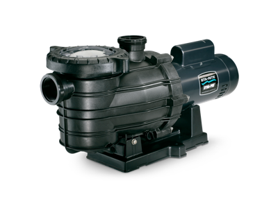 Dyna-Pro Pool and Spa Pump