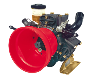 Pentair Hypro 9910-D813 Series Diaphragm Pumps