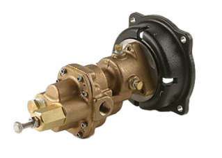 Pentair Shurflo Bronze Heavy Duty Gear Pump Heads