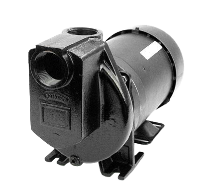 Pentair Shurflo Cast Iron Self-Priming Centrifugal Pumps