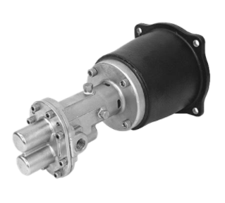 Pentair Shurflo Stainless Steel Gear Pump Head