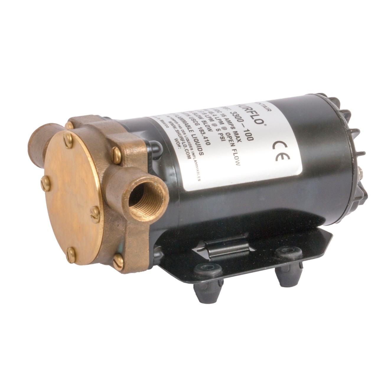 Pentair Shurflo Standard Ballast Pump