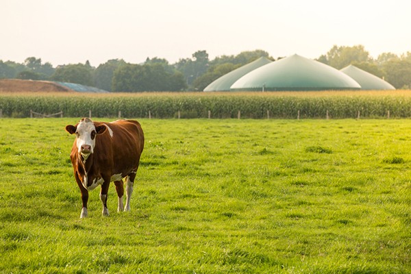 Biogas Upgrading