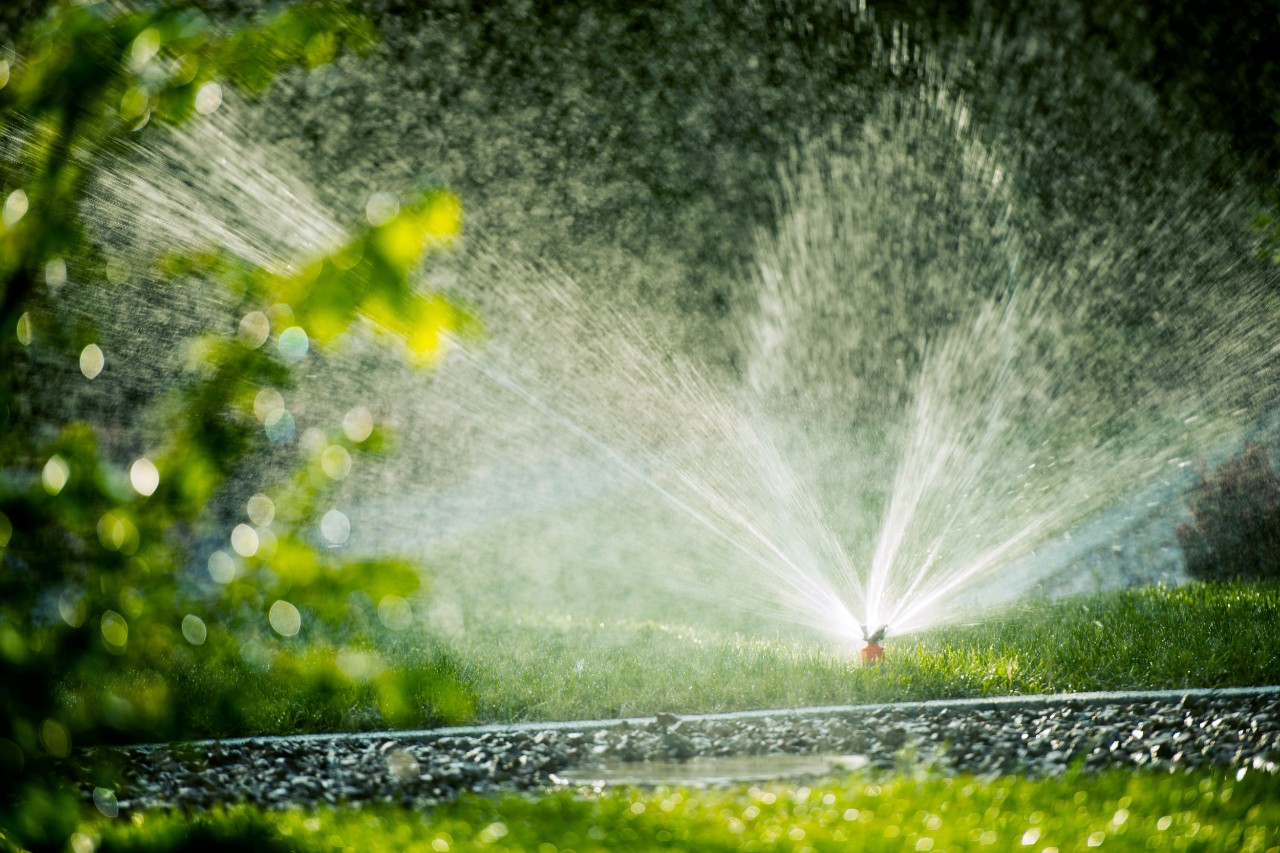 rotating-lawn-sprinkler-automatic-grass-watering-systems-horizontal-5000x3337-image-file