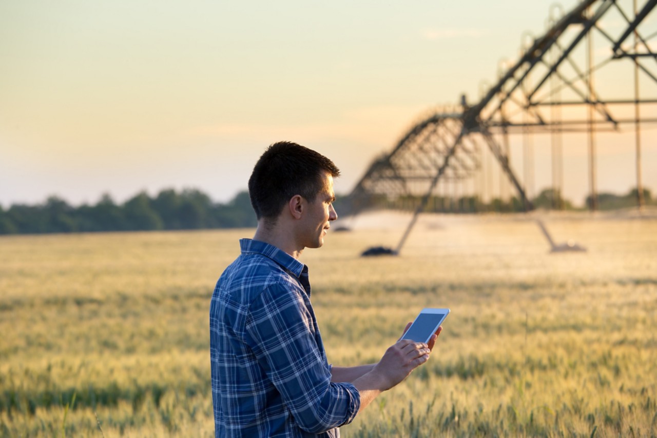 young-farmer-man-holding-tablet-in-green-plant-field-with-sprinklers-at-sunset-horizontal-5348x3565-image-file-800465616