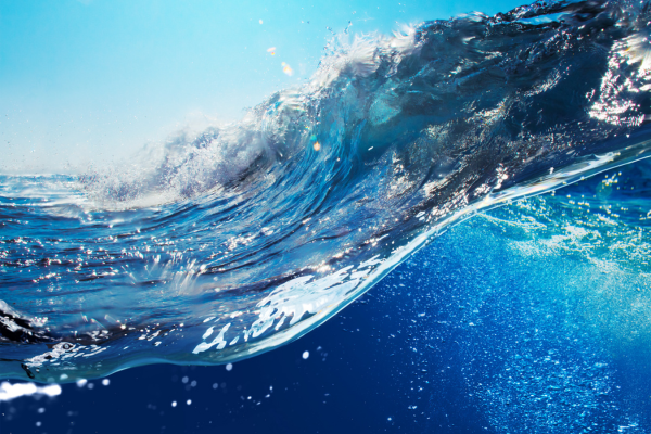 World Water Day 2025 600 x 400 - 1
