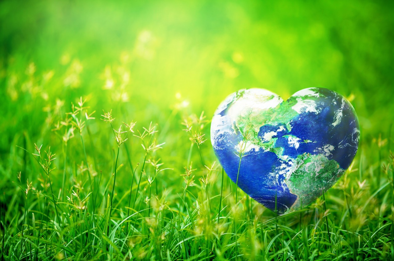 earth-day-2019-grass-globe-heart-green-blue-zero-waste-horizontal-654x4407-image-file-904646436