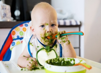 Feeding. Adorable baby child eating with a spoon in high chair. Baby's first solid food