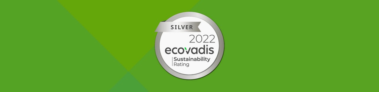 Ecovadis logo on green field with angles