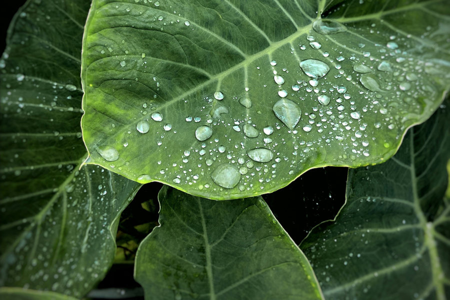 Newsweek Blog - Driving-sustainable-impace-blog-image