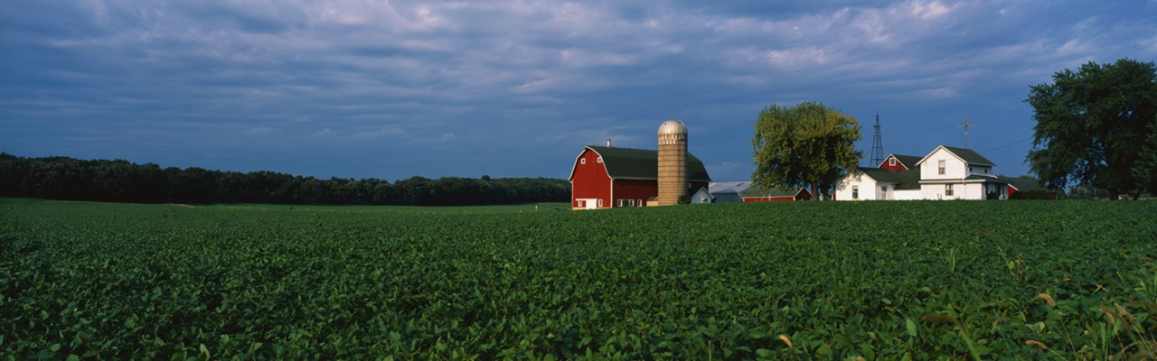 This is a farm with a silo and barn. Directly behind it sits a white farmhouse. It sits in the middle of a green farm field.