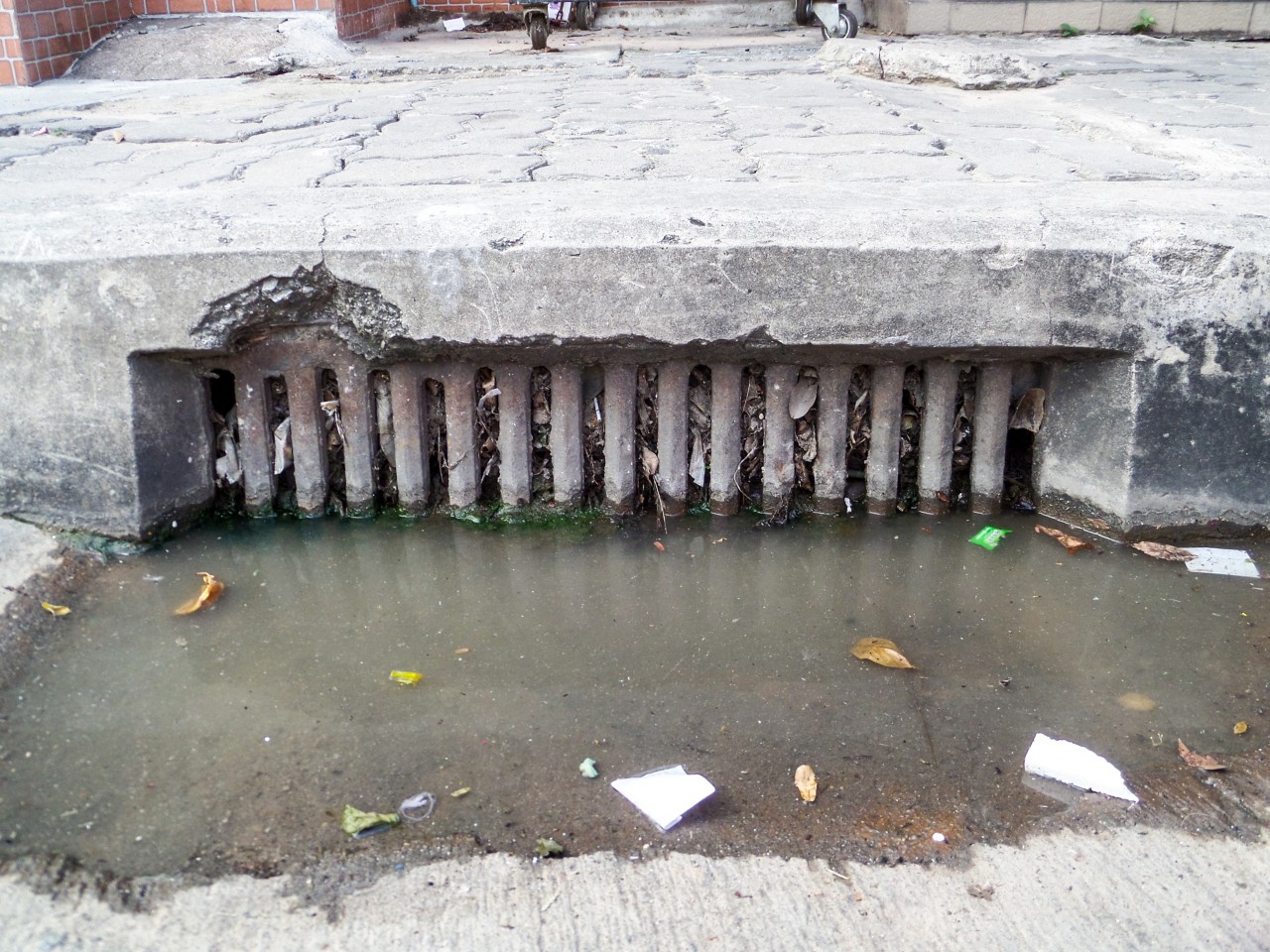 water cannot drain because drainage clogs by waste and garbage and dry leaves