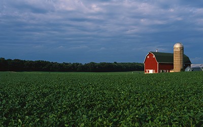 This is a farm with a silo and barn. Directly behind it sits a white farmhouse. It sits in the middle of a green farm field.