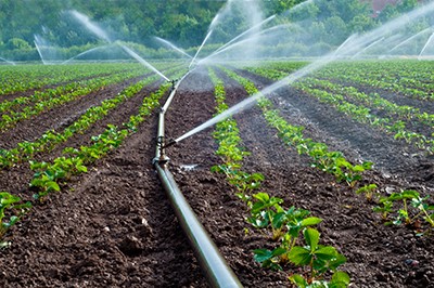 Water spray on an agriculture field