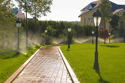 sprinkler of automatic watering in garden