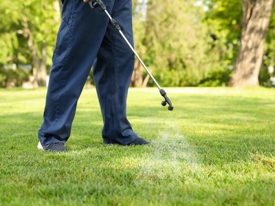 Spraying lawn for pest control