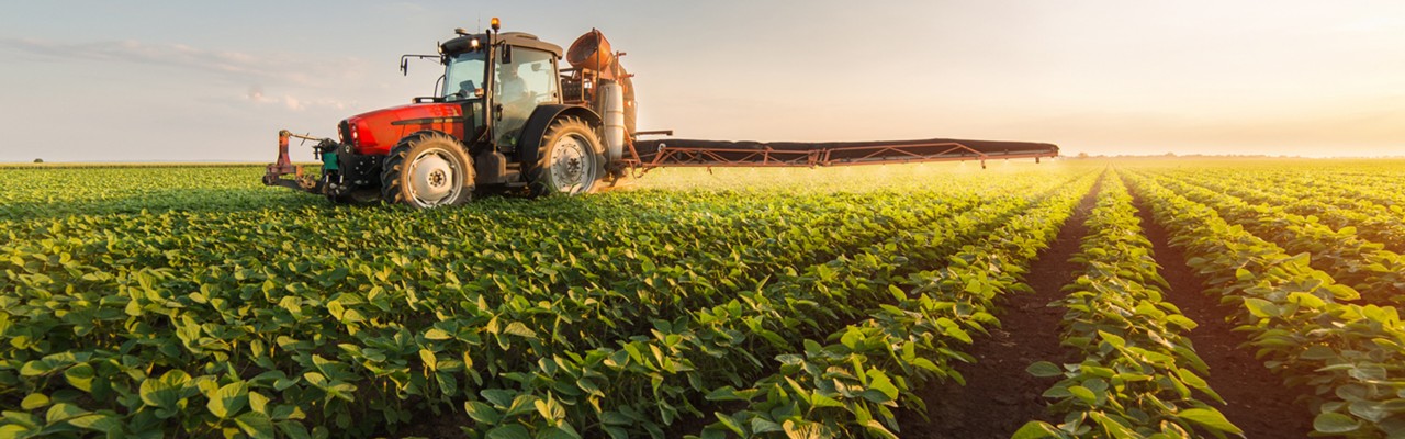 Tractor spraying soybean field at sunset