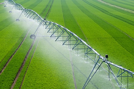 A Center Pivot Irrigation System spraying crops in a green field.