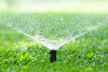 An automatic garden lawn sprinkler in action watering grass.
