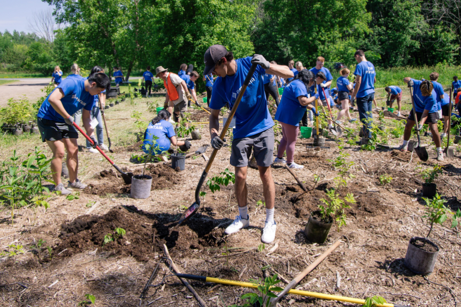 Pentair Volunteers with Great River Greening 900 x 600