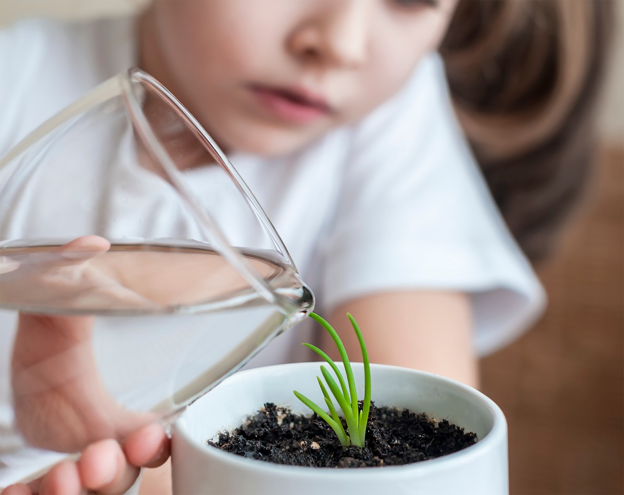 Little toddler girl is holding a transparent glass with water and watering young plant. Caring for a new life. The child's hands. Selective focus. Earth day holiday concept. World Environment Day; Shutterstock ID 1050869177; purchase_order: PWS web; job: 