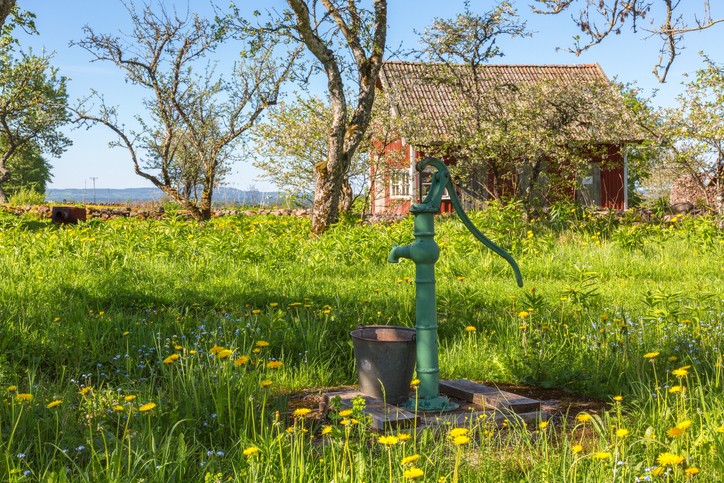 Old water pump in a flowering garden in the spring