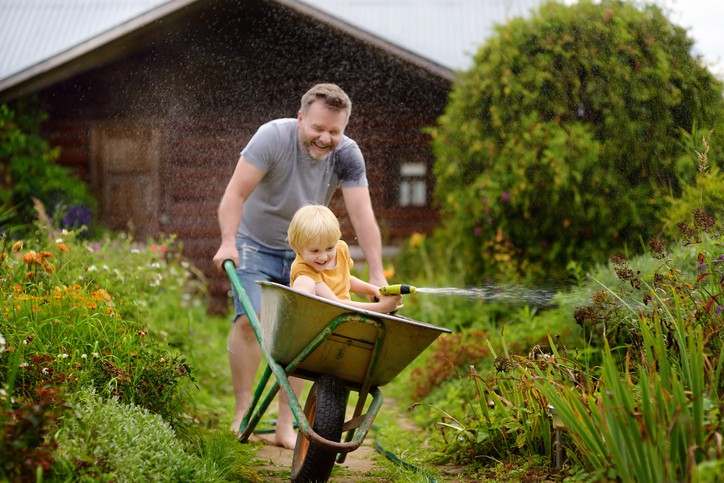 Happy little boy having fun in a wheelbarrow pushing by dad in domestic garden on warm sunny day. Child watering plants from a hose. Active outdoors games for kids in summer