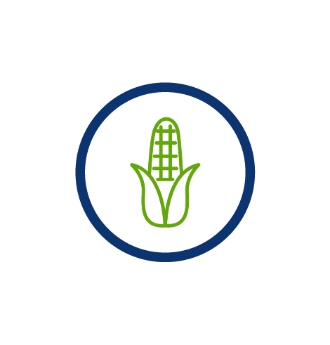 corn vegetable, eat more vegetables, virtual water conservation, blue circle, transparent png