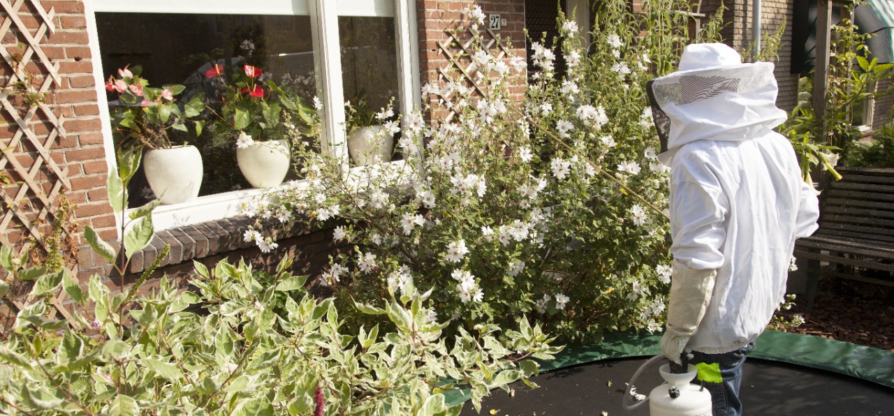pest treatment image pest treatment image